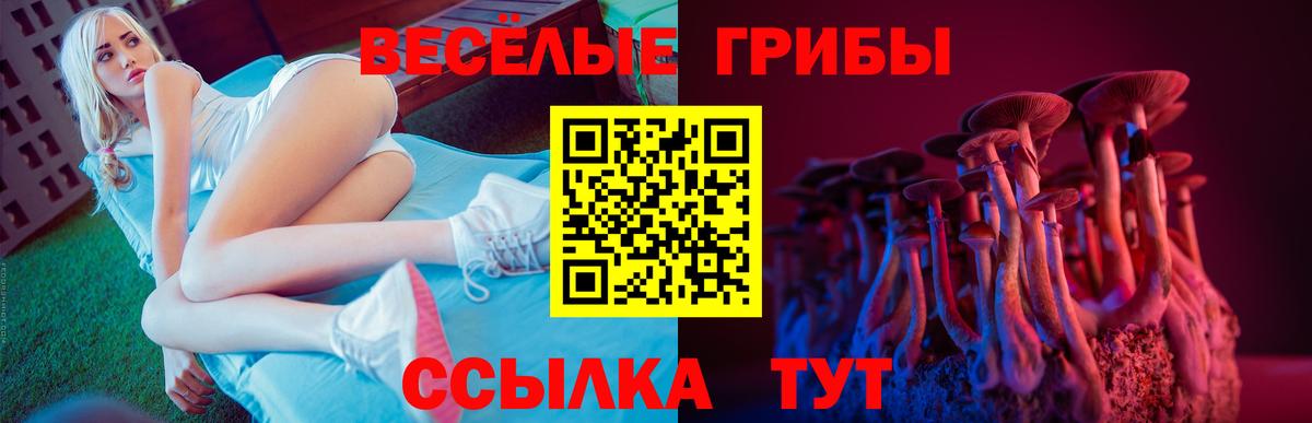 Галлюциногенные грибы Magic Shrooms  Вход с VPN  Бугульма 